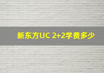 新东方UC 2+2学费多少